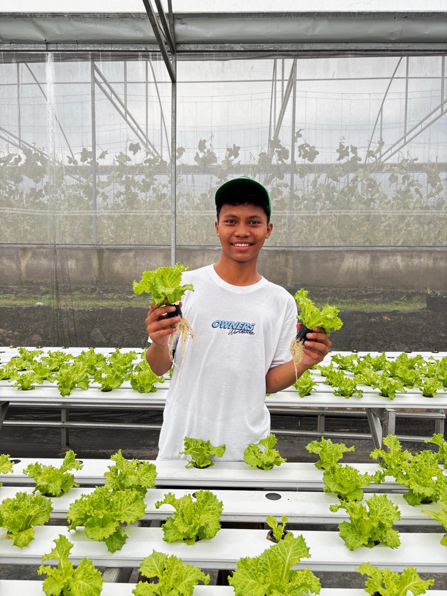 FLORIN greenhouse gallery