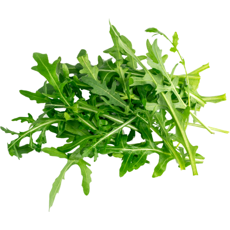 Wild Arugula